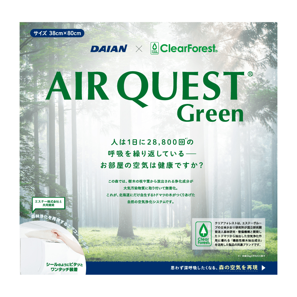 エアークエストグリーン 38【2枚入】