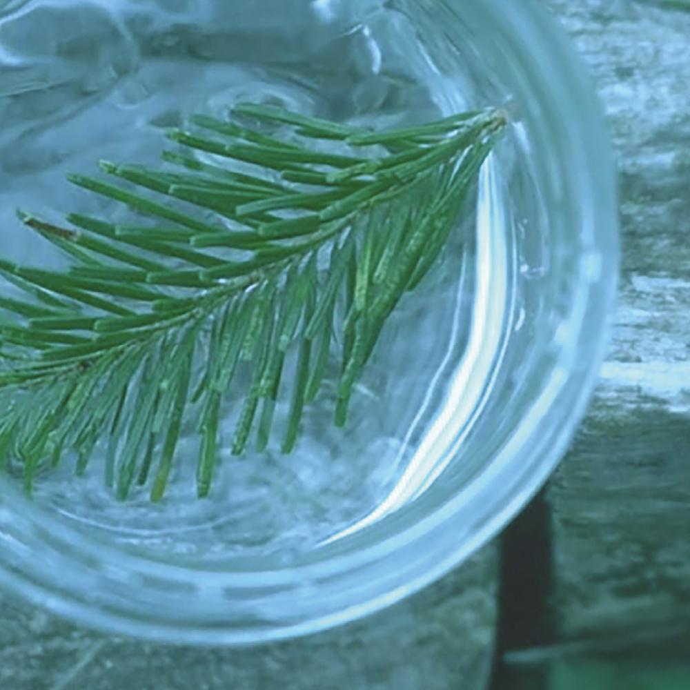 北海道の恵み 木の香り 洗濯石鹸