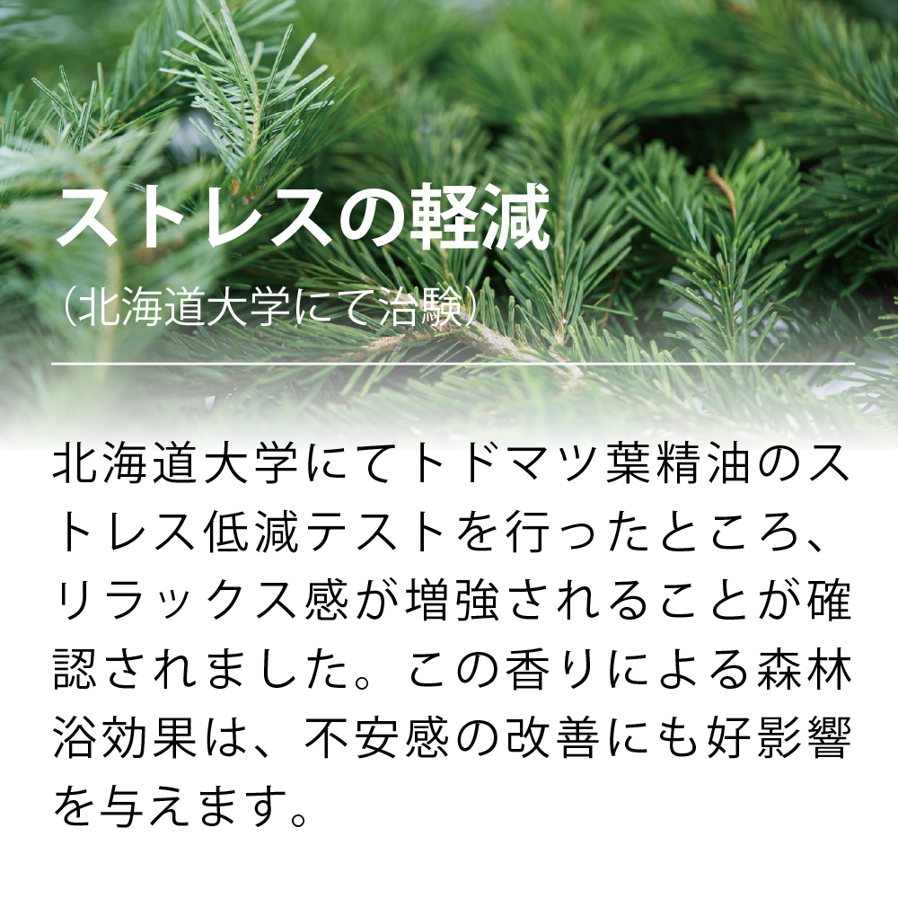北海道 森のチカラ【リラックス】