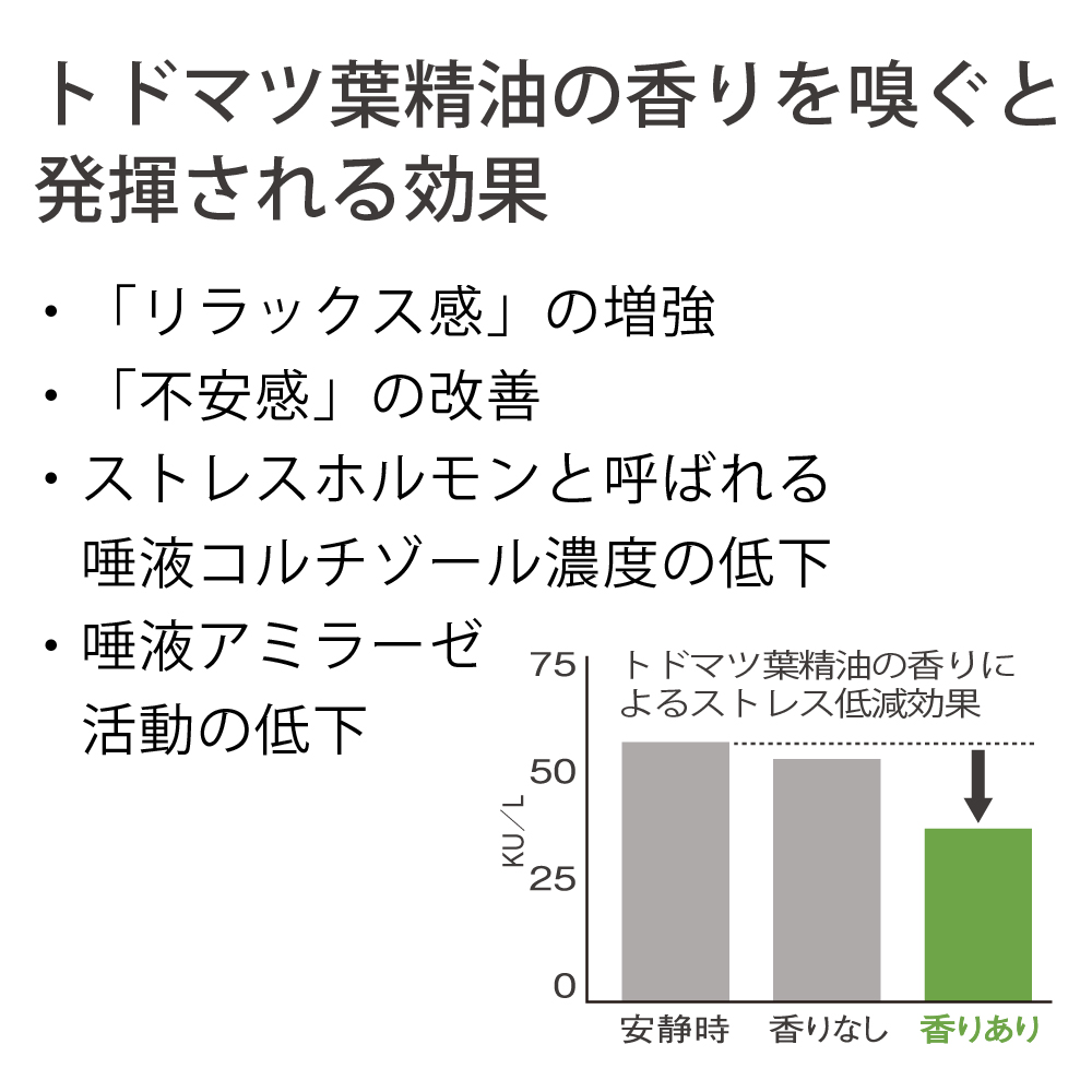 北海道 森のチカラ【リラックス】
