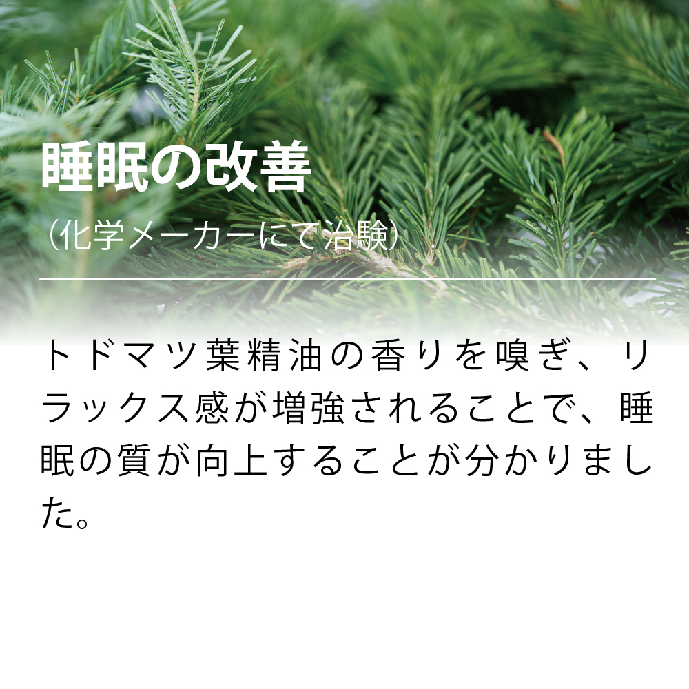 北海道 森のチカラ【リラックス】